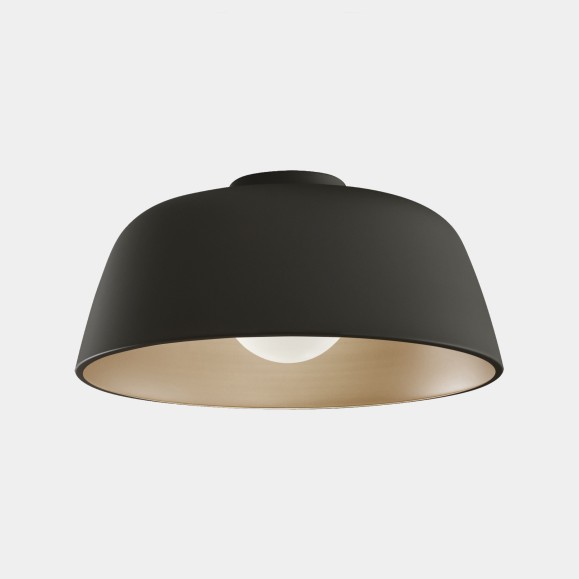 Miso