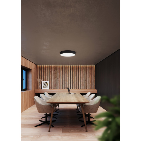 Caprice Ceiling