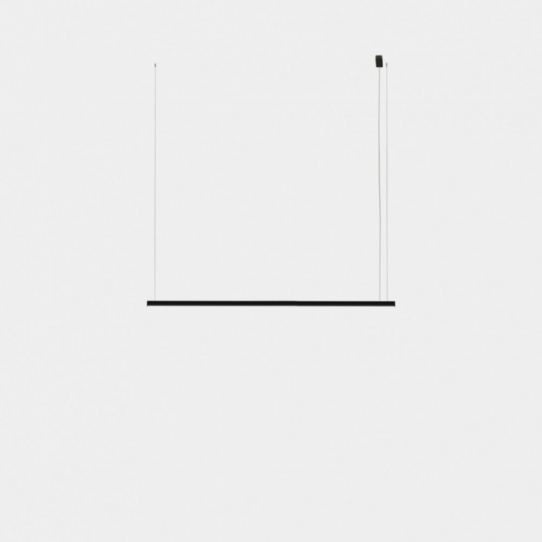 Lineal